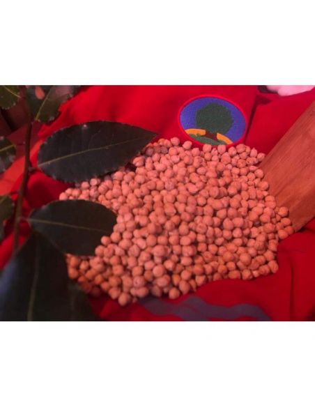 GARBANZO PEDROSILLANO