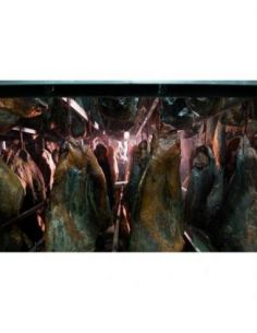 CECINA DE VACA PIEZAS